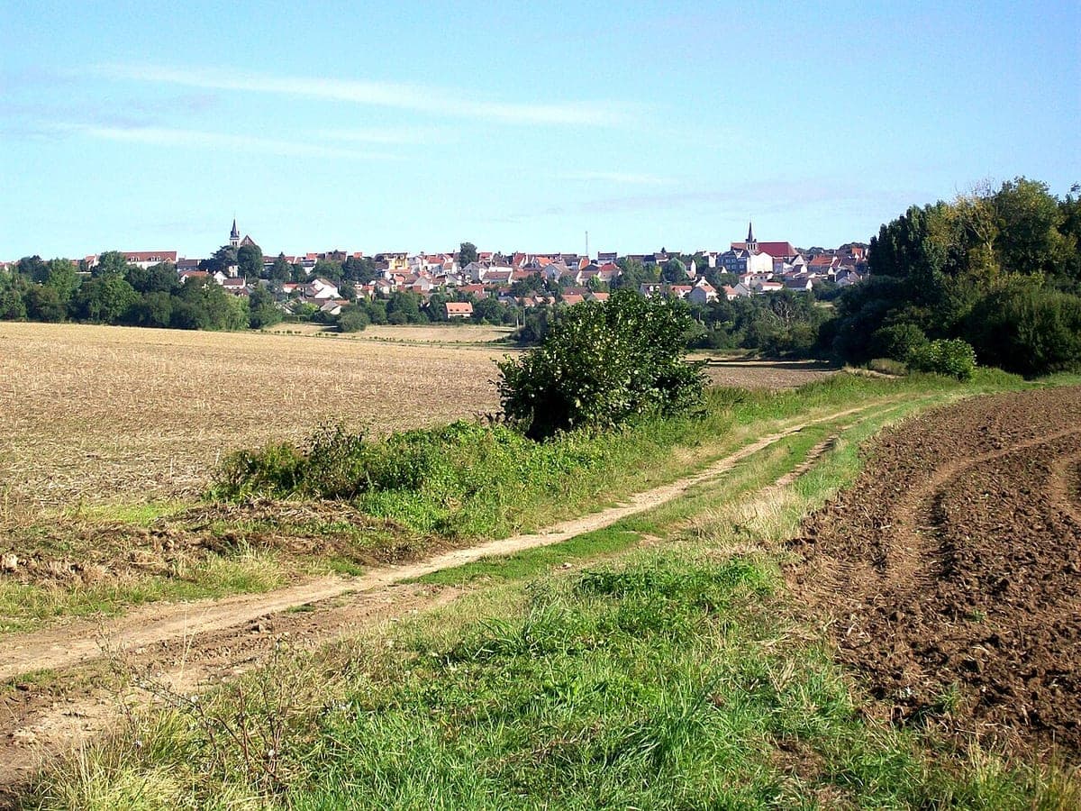 Dammartin-en-Goële (77230)