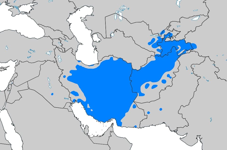 Persan (95340)