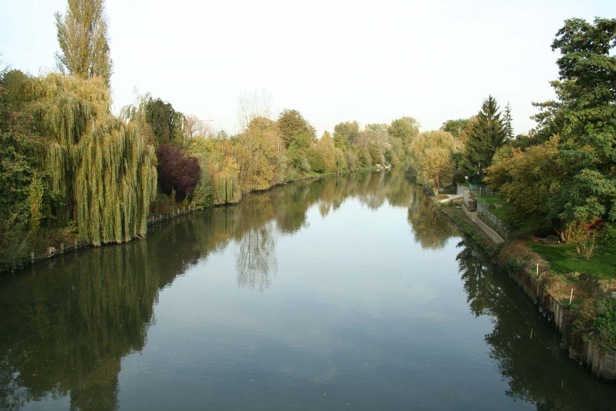 Poissy (78300)
